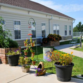 A sunny garden with various potted plants and flowers outside a light-colored building.