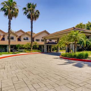 A hotel entrance with palm trees and a paved driveway.