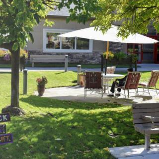 A peaceful garden patio with chairs and a large umbrella, surrounded by greenery.