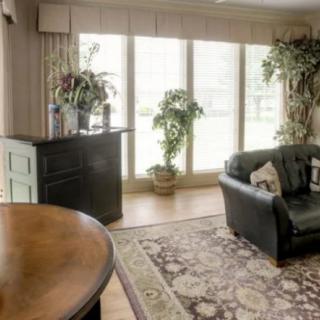 A cozy living room with a sofa, plants, and a large window.