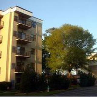 A residential apartment building with balconies and a large tree nearby, captured at sunset.
