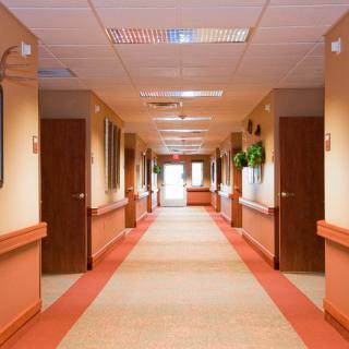 A well-lit, carpeted hallway with multiple doors and artwork on the walls.