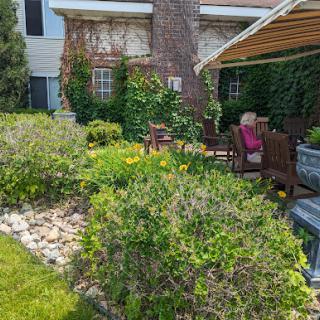A serene garden space with vibrant flowers and comfortable outdoor seating.