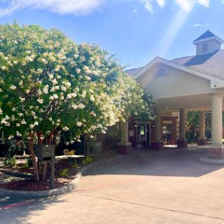 A welcoming entrance to a residential building surrounded by blooming trees under a bright sky.