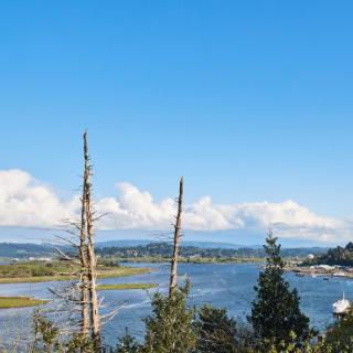 A scenic view of a lake surrounded by trees under a clear blue sky with clouds.