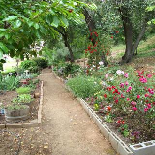 A peaceful garden pathway surrounded by blooming flowers and lush trees.