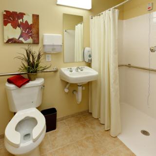 A well-designed bathroom featuring a toilet, sink, and shower, complemented by decorative elements.