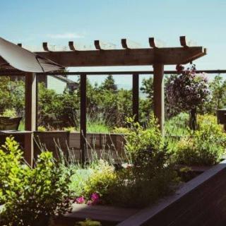 A serene garden setting with a wooden pergola surrounded by lush greenery.