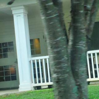 A view of a house with a porch and a tree in the foreground.