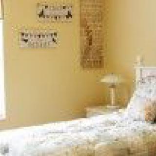A cozy bedroom with a single bed, bedside lamp, and decorative wall art.