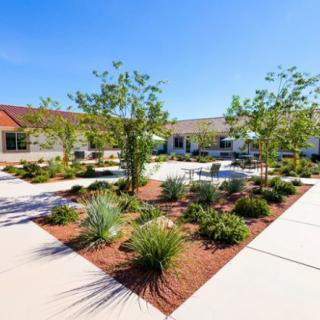 A beautifully landscaped courtyard featuring a variety of plants and small trees under a clear, sunny sky.