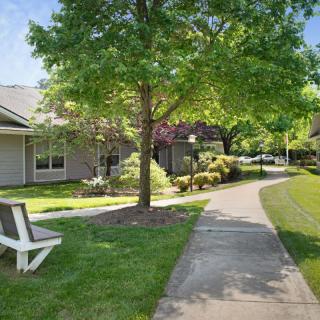 A serene park pathway lined with lush trees and a bench for relaxation.