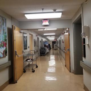 A hallway in a hospital featuring wooden doors and colorful artwork on the walls.