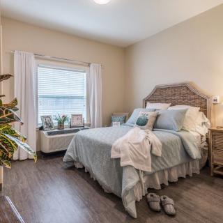 A cozy bedroom with a neatly made bed, soft lighting, and plants near the window.
