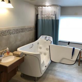 A modern bathroom featuring an accessible walk-in bathtub with a curtain and stylish decor.