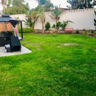 A well-maintained backyard with a lush green lawn and a gazebo.