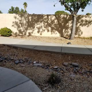 A sunny day with a tree casting shadows on a wall, alongside a sidewalk and sparse landscaping.