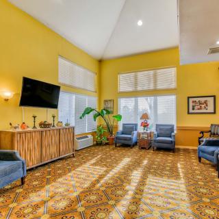 A bright living room with yellow walls, comfortable seating, and a mix of natural and decorative elements.