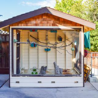 An outdoor aviary designed to house birds, situated in a backyard setting.