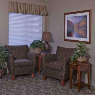 A cozy living room corner with two chairs, a lamp, and decorative plants.