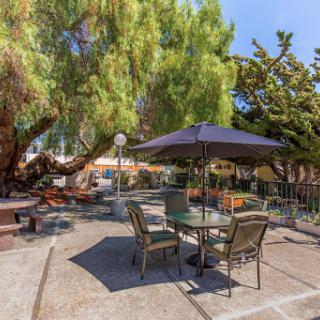 A serene outdoor patio area with a table, chairs, and an umbrella surrounded by lush greenery.