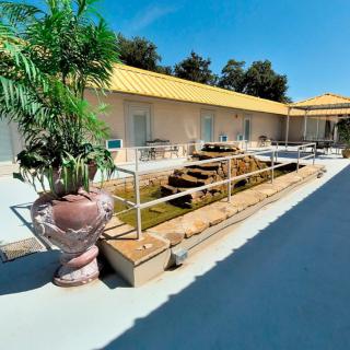 A sunny courtyard with a pond and surrounding planters in front of a building.