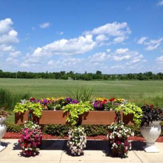 A vibrant garden scene with colorful flowers in planters against a backdrop of lush greenery and a blue sky dotted with clouds.