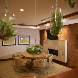 A modern living room with hanging plants, a fireplace, and stylish furniture.