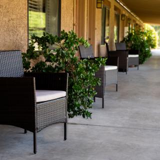 A row of wicker chairs and potted plants line the outdoor corridor of a building.