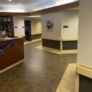 A modern office lobby with a welcoming atmosphere and decorative elements.