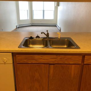 A kitchen area featuring a double sink with a faucet on a countertop, wooden cabinets below, and a dishwasher to the side. A window is visible in the background.