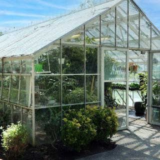 A bright and inviting greenhouse filled with various plants, perfect for nurturing greenery.
