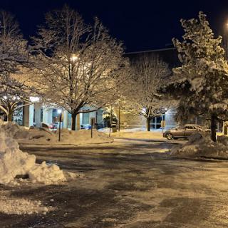 A serene winter night scene with snow-covered trees and a quiet street illuminated by warm lights.