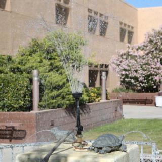 A courtyard featuring a turtle sculpture and fountain surrounded by greenery.