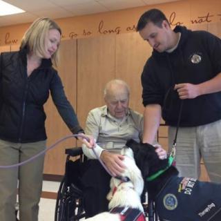 An elderly person in a wheelchair interacts with therapy dogs, with two caregivers assisting.