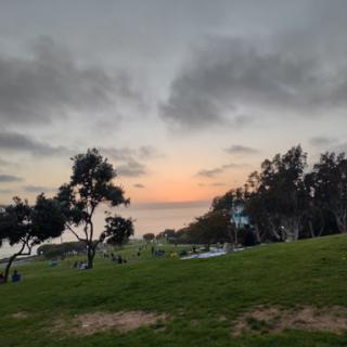 A serene sunset view at a park, with lush green grass and silhouetted trees against a dramatic sky.