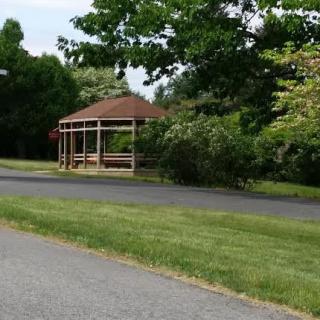 A serene park scene with a gazebo surrounded by trees and a paved pathway.