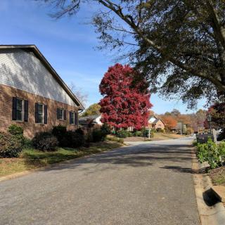 A quiet suburban street lined with trees showcasing vibrant autumn colors under a clear blue sky.