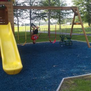 A vibrant playground featuring a yellow slide and swings, surrounded by greenery.
