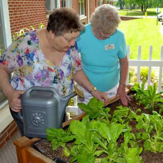 Two women tending to a vegetable garden, highlighting the joy of gardening and community involvement.