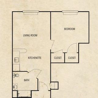 A floor plan of a one-bedroom apartment featuring a living room, bedroom, kitchen area, bathroom, and closets.