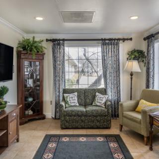 A cozy living room with a sofa, armchair, and television, featuring elegant curtains and decorative plants.