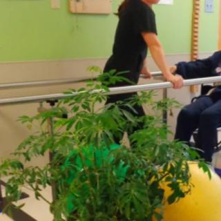 A person engaging in rehabilitation exercises using parallel bars under the guidance of a caregiver.