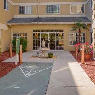 A welcoming hotel entrance with a landscaped pathway and palm tree.