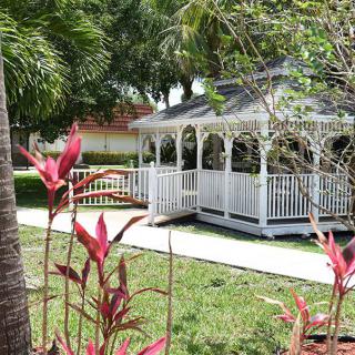 A charming white gazebo surrounded by lush tropical plants and palm trees in a garden setting.