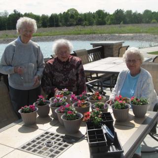 Three elderly women enjoying gardening together outdoors.