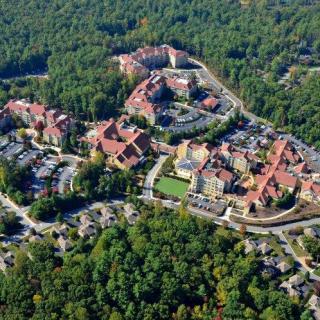 Aerial view of a residential area surrounded by dense forest.