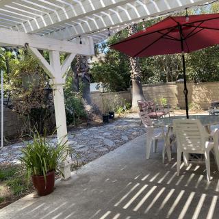 A sunny backyard patio with a pergola, an umbrella-covered table, and surrounding greenery.