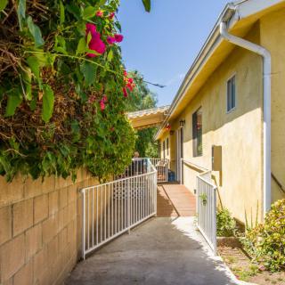 A sunlit pathway alongside a house with a garden and fence.