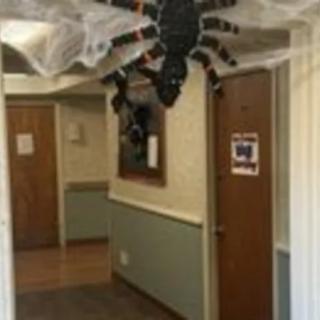 A hallway decorated for Halloween with a large spider and cobwebs.